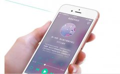 如何解決自駕出境遊APP的痛點? 如何解決自駕出境遊APP的痛點?